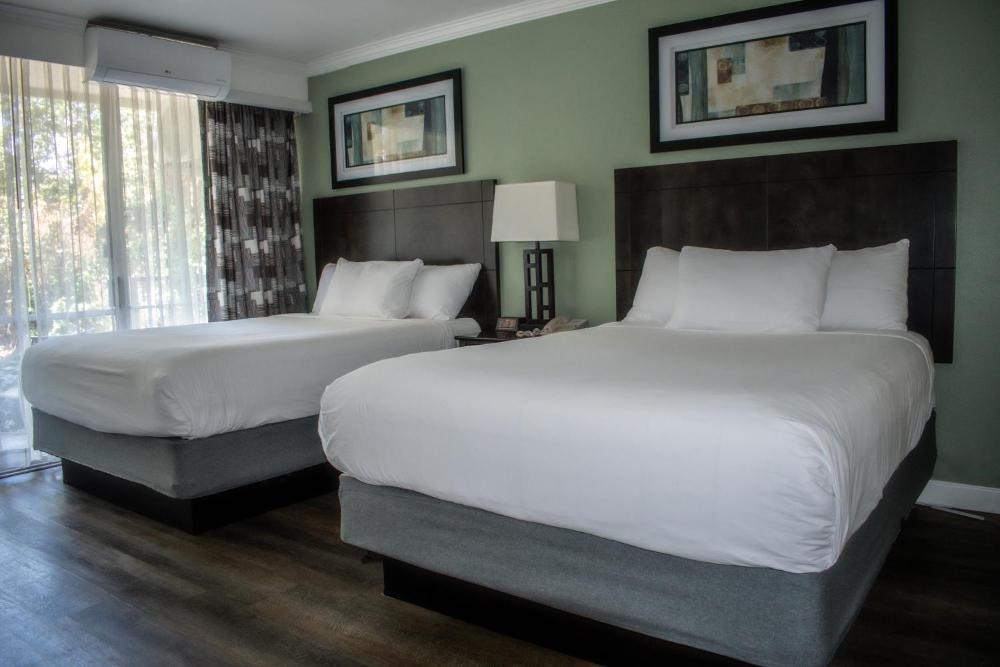 Room image 5